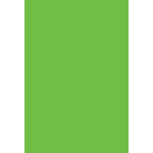 CARTULINA ROYAL CAST (VERDE 5 PLIEGOS) CARTULINA ROYAL CAST (VERDE 5 PLIEGOS)