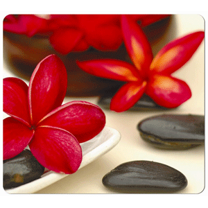 MOUSE PAD FELLOWES EARTH SERIES (FLORES) MOUSE PAD FELLOWES EARTH SERIES (FLORES)