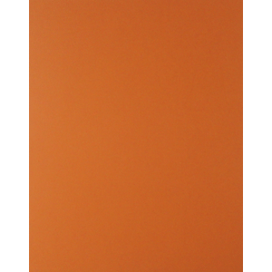 CARTULINA ROYAL CAST (NARANJA 65X50 CM.) CARTULINA ROYAL CAST (NARANJA 65X50 CM.)