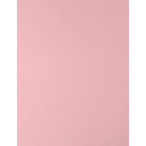 CARTULINA ROYAL CAST (ROSA 65X50 170 GRAMOS) CARTULINA ROYAL CAST (ROSA 65X50 170 GRAMOS)