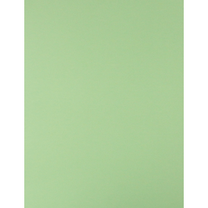 CARTULINA ROYAL CAST (VERDE PALIDO 65X50 170GRS) CARTULINA ROYAL CAST (VERDE PALIDO 65X50 170GRS)