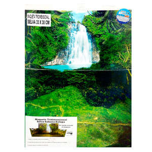 MAQUETA TRIDIMENSIONAL (SELVA/SABANA) MAQUETA TRIDIMENSIONAL (SELVA/SABANA)