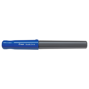 PLUMA FUENTE ESCOLAR PILOT MEDIANA AZUL PLUMA FUENTE ESCOLAR PILOT MEDIANA AZUL