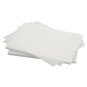 PASTA CARTA SOLIDO TRANSPARENTE ZEBRA PASTA CARTA SOLIDO TRANSPARENTE ZEBRA